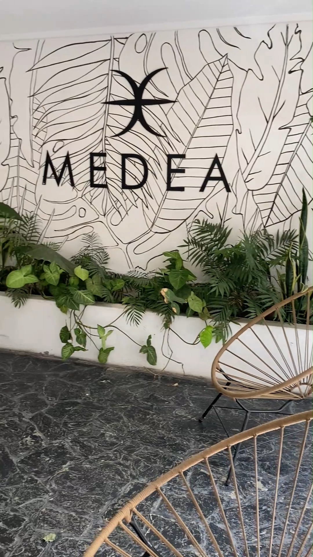 El hall de Medea, con el mural de hojas y el cantero de plantas